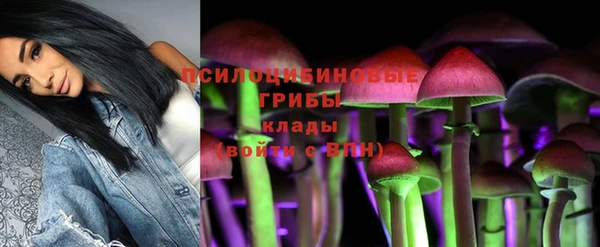 apvp Балабаново