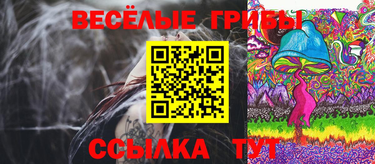 Галлюциногенные грибы MAGIC MUSHROOMS  Вход с VPN  Псилоцибиновые грибы Psilocybe  Баксан 